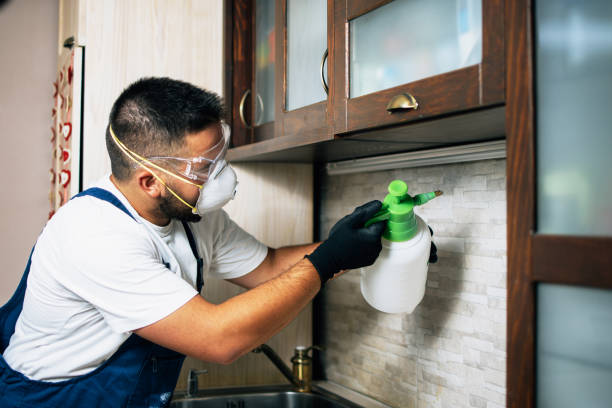 Best Affordable Pest Control Services  in Ralls, TX