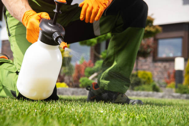 Best Exterminator Services  in Ralls, TX