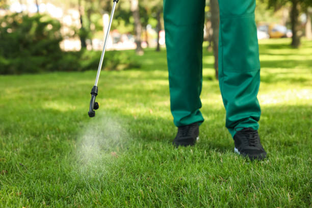 Best Pest Removal Services  in Ralls, TX