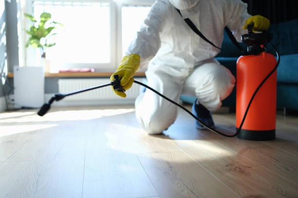 Best Pest Control Near Me in Ralls, TX