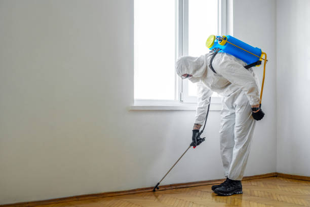 Best Commercial Pest Control Services  in Ralls, TX
