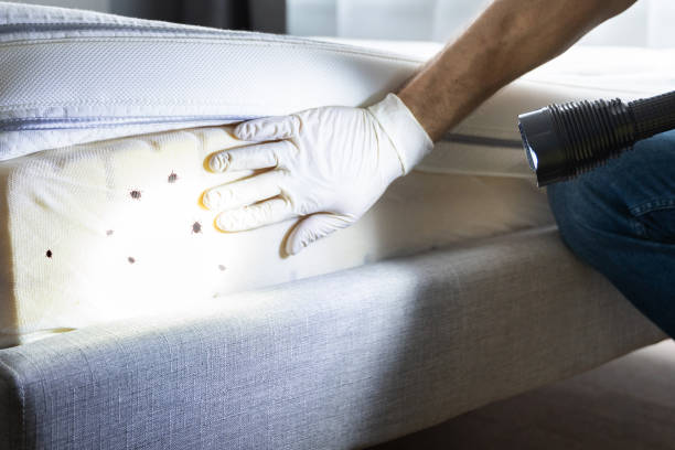 Best Pest Control Near Me  in Ralls, TX