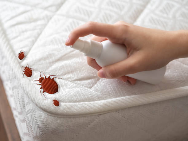 Best Residential Pest Control  in Ralls, TX