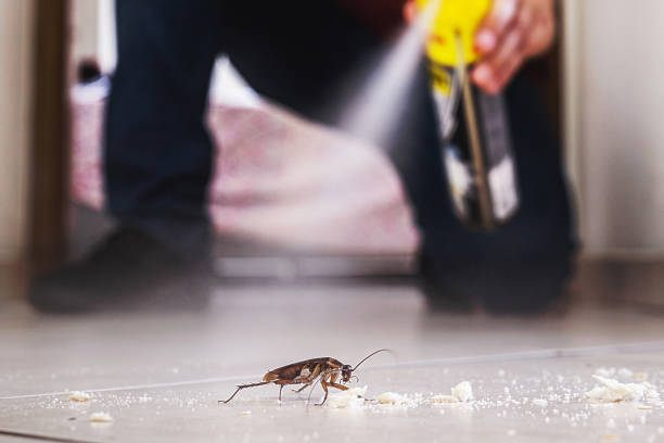 Best Residential Pest Control  in Ralls, TX