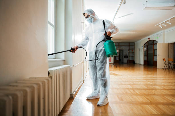 Best Affordable Pest Control Services  in Ralls, TX